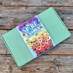 Fr�kasse Old Times