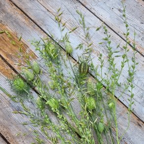 Spirekassens Buketfyld Mix