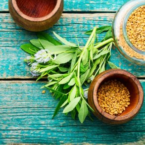 Almindelig Bukkehorn - kologisk