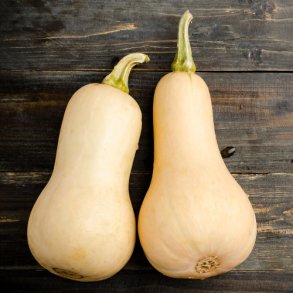 Butternut Squash- kologisk