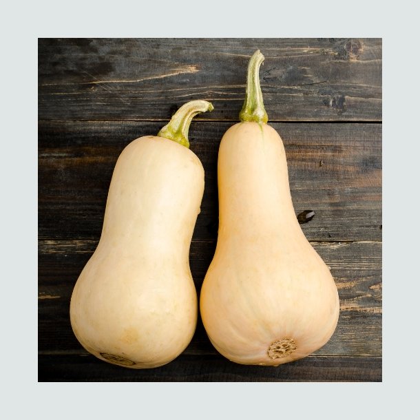 Butternut Squash- kologisk