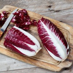 Bladcikorie 'Palla Rossa 4050' - kologisk