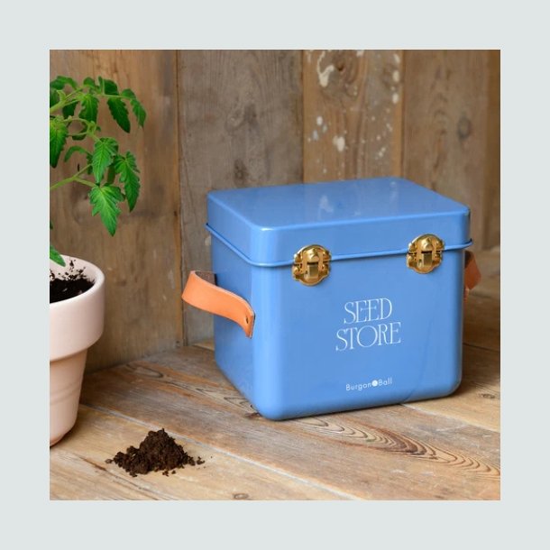  Collector Mini Seed Store - Cotswold Blue