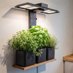 CultiLUX Wide � LED v�kstlys til indend�rs dyrkning
