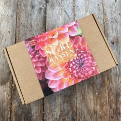 Dahliakasse  SkagenBlomsten
