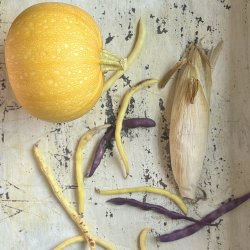 Frkasse De Tre Sstre - kologisk