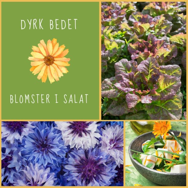 Blomster I Salat