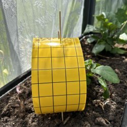 Catch-it fangplader - 5 stk