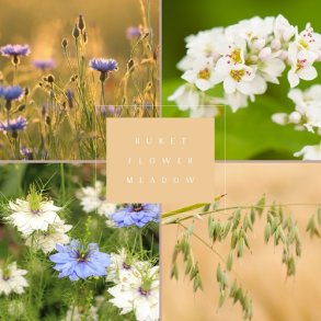 Frkasse Flower Meadow - kologisk