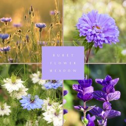 Frkasse Flower Meadow - kologisk