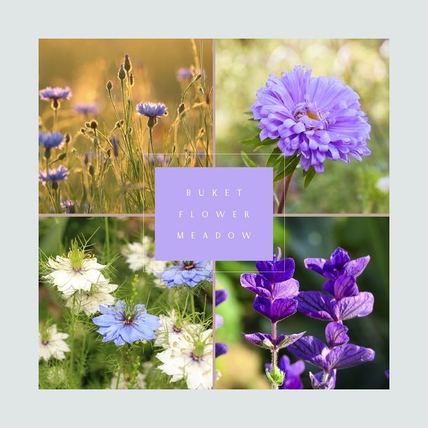 Frkasse Flower Meadow - kologisk