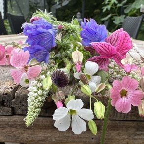 Flowermix Lav - �kologisk