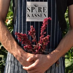 R�d Havem�lde - �kologisk