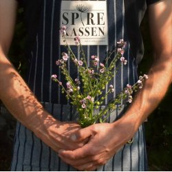 Kinesisk hundetunge 'Mystery Rose'