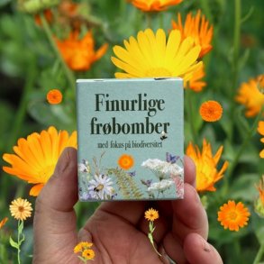 Frbombe Fru Morgenfrue 