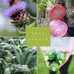 Frkasse ko Arvesorter