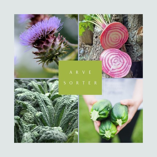 Frkasse ko Arvesorter