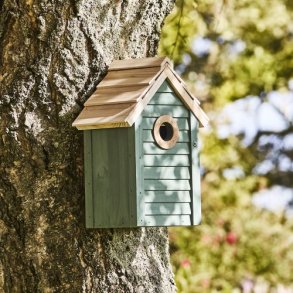 Fuglehus st�vgr�n