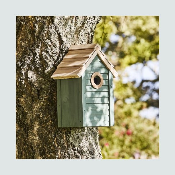 Fuglehus st�vgr�n