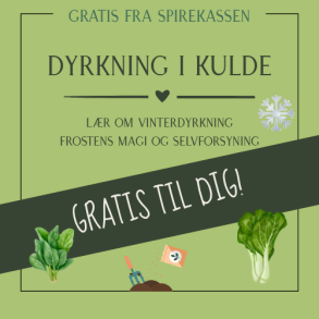 Gratis guide til vinterdyrkning 