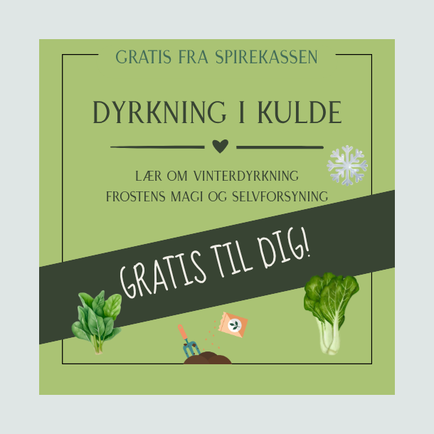 Gratis guide til vinterdyrkning 