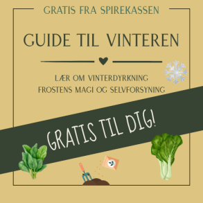 Gratis guide til vinterdyrkning 