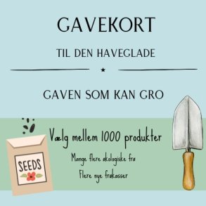 Gavekort 