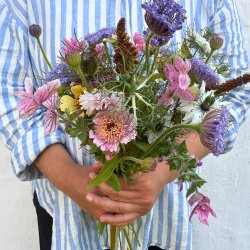 Haveselskabets Skrehaveskole 2025