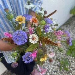 Haveselskabets Skrehaveskole 2025