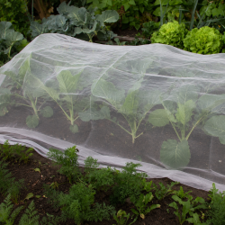 K�lnet 2 x 5 meter