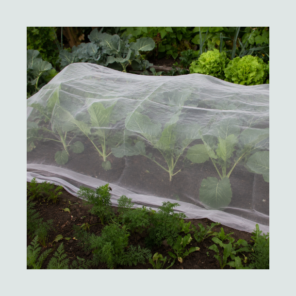 K�lnet 2 x 5 meter