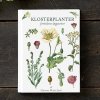 Bog: Klosterplanter - Fortidens naturmedicin