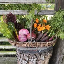 Haveselskabets Kkkenhaveskole 2025