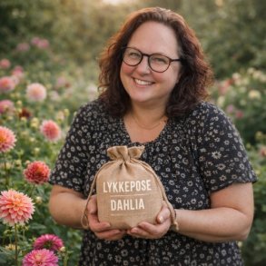 Lykkepose Dahlia 