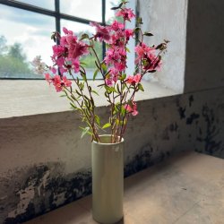 Mlleblomst- kologisk