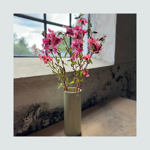 Mlleblomst- kologisk