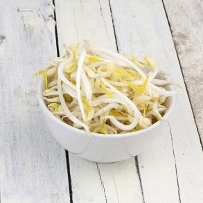 Spirer Mungbnne - kologisk