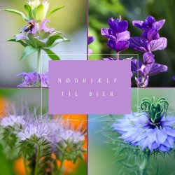 Frkasse ko Ndhjlp Bier