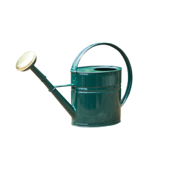  Vandkande  Anika - 1,7 liter - Grn