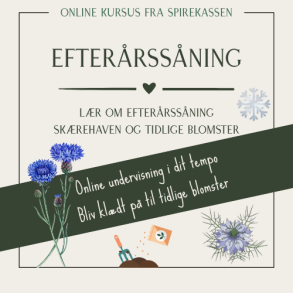 Onlinekursus - Efter�rss�ning i sk�rehaven