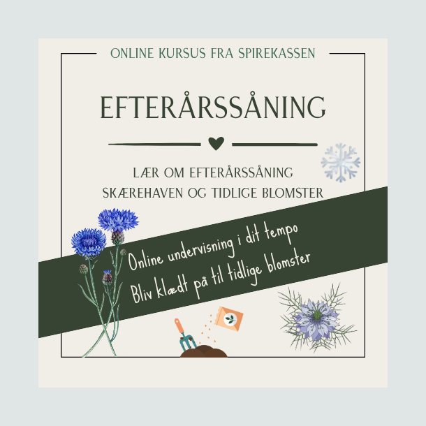 Onlinekursus - Efter�rss�ning i sk�rehaven