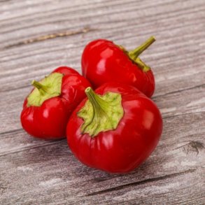 Chili 'Ciliegia Piccante' - kologisk