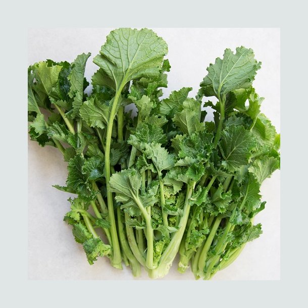 Rapini 'Cima Rapa'- kologisk