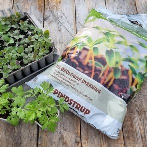 S og Priklemuld - 8 Liter