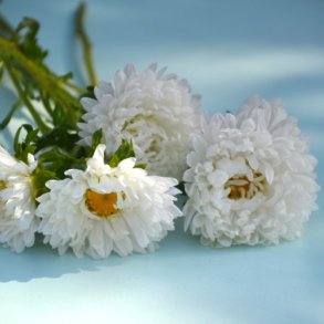 Sommerasters 'King Size White' - XL