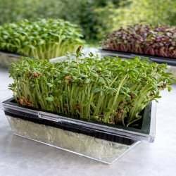 Spirebakke til mikrospirer - 2 stk