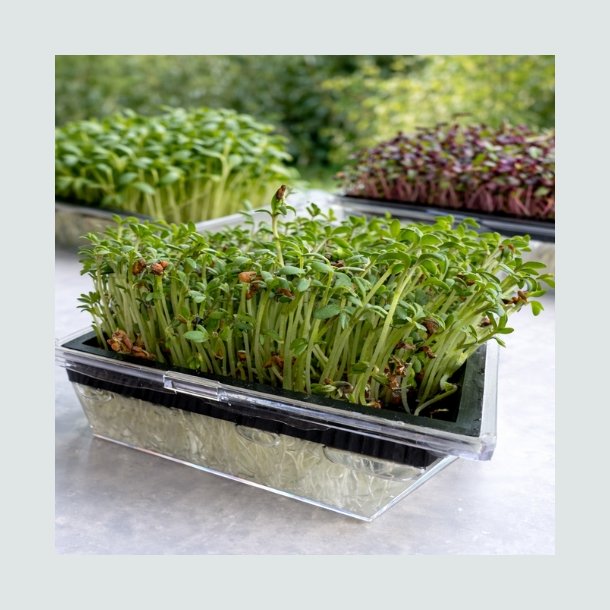 Spirebakke til mikrospirer - 2 stk