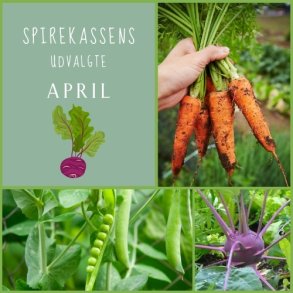 Spirekassens Udvalgte - APRIL