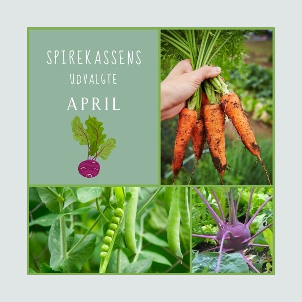 Spirekassens Udvalgte - APRIL