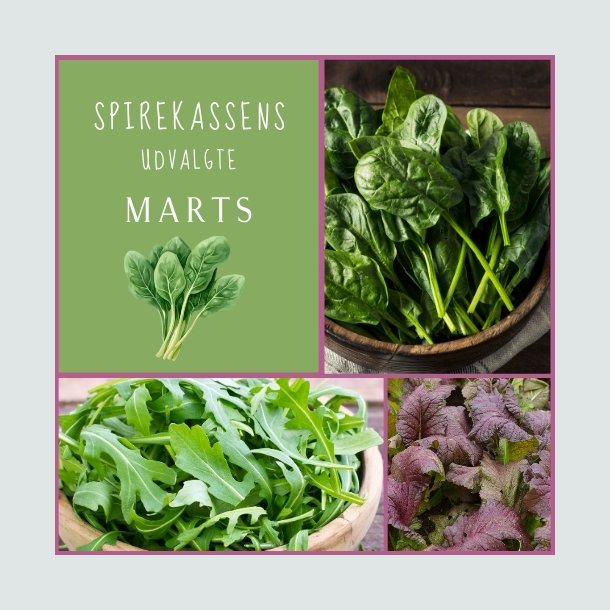 Spirekassens Udvalgte - MARTS